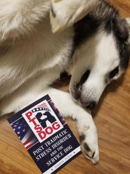 35925579_2247501762146534_3991326160578412544_n