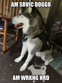 37677759_2278384425724934_6745060814824144896_n