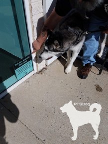 45138175_2360782620818447_6157179439537979392_n